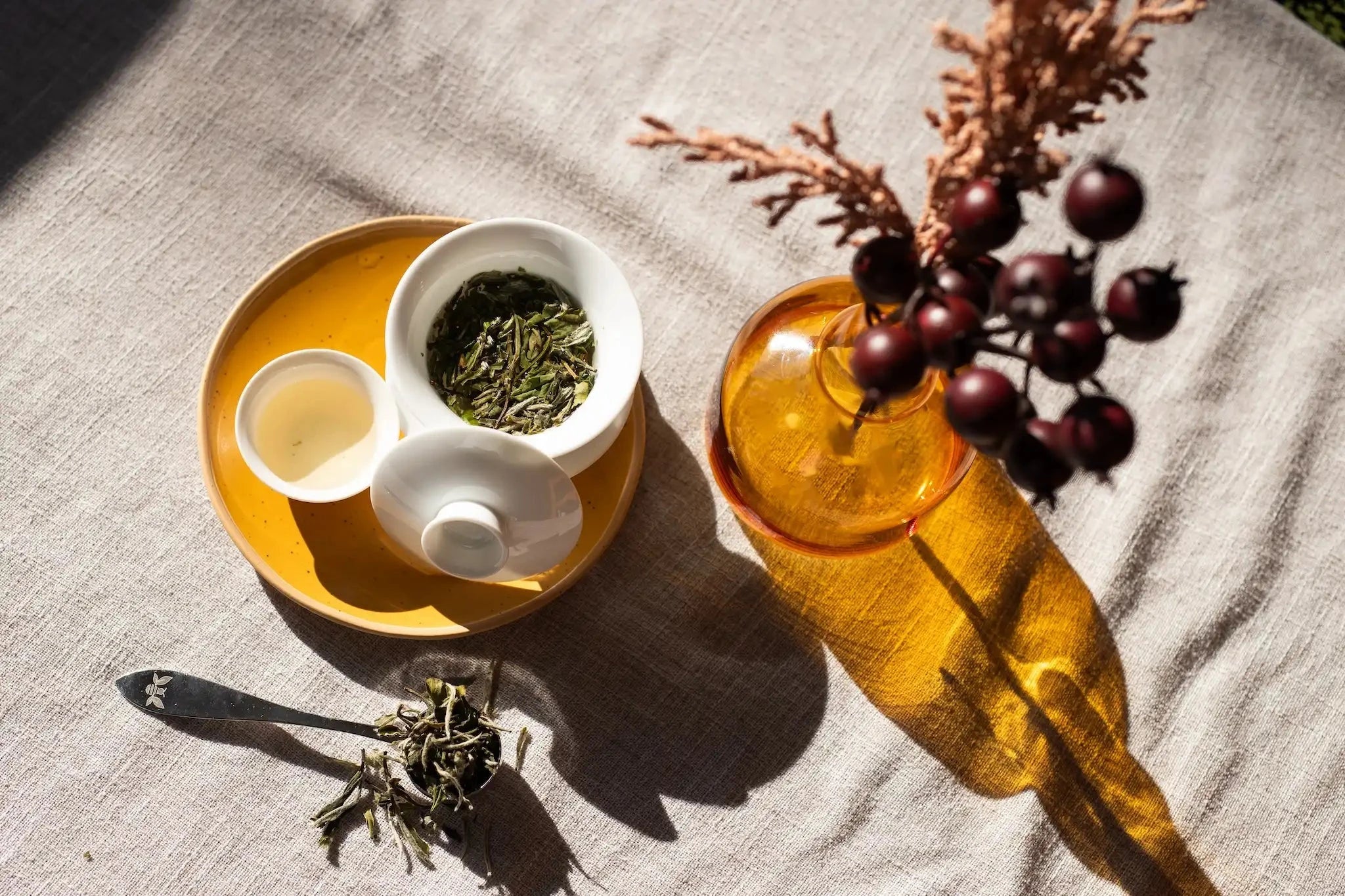 bai mu dan wang white peony white tea in a white gaiwan